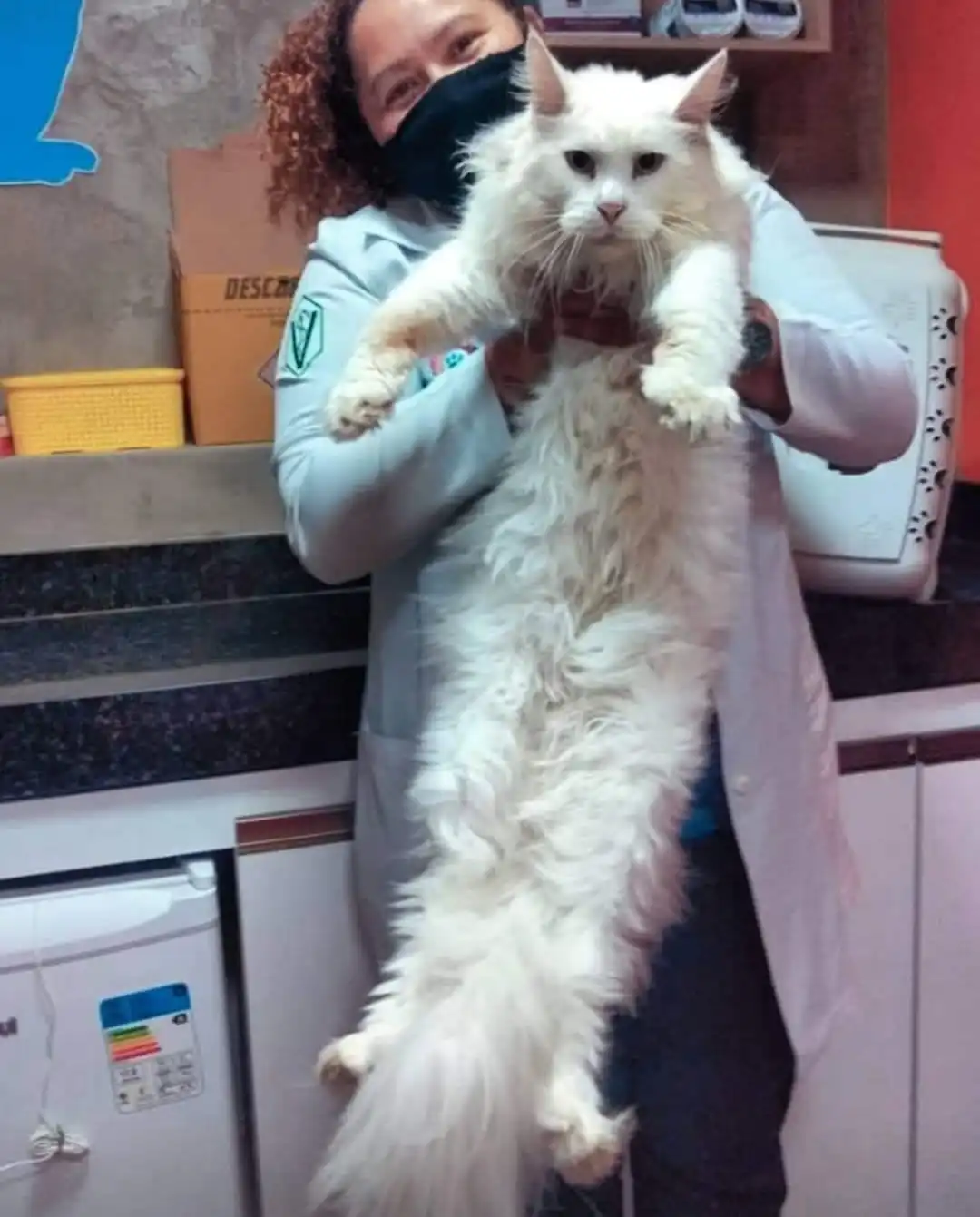 Dra. Luciana Pessoa com um gato branco no colo